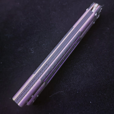 Cygnus EVO